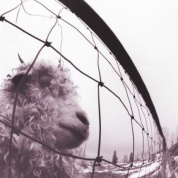 Виниловая Пластинка Pearl Jam Vs.