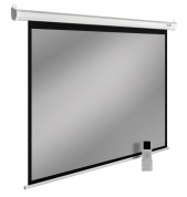 Экран настенно-потолочный Cactus SIlverMotoExpert CS-PSSME-220X138-WT белый