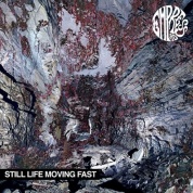 Виниловая Пластинка Empress Ad Still Life Moving Fast