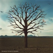 Виниловая Пластинка Biffy Clyro Opposites