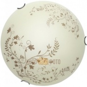 Настенный светильник Arte Lamp Ornament A4920PL-2CC
