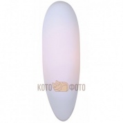 Настенный светильник Arte Lamp Pale A1236AP-1WH