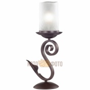 Настольный светильник Odeon Light Bosta 2438/1T