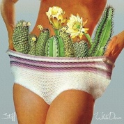 Виниловая Пластинка White Denim Stiff