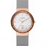 Наручные часы Skagen Mesh 456LRS