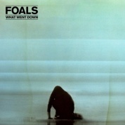 Виниловая Пластинка Foals What Went Down