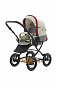 Коляска 2 в 1 Noordi Polaris NO_382655/1CL