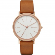 Наручные часы Skagen SKW2488