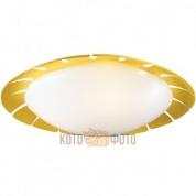 Потолочный светильник Odeon Light Zita 2753/3C