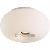 Потолочный светильник Odeon Light Pati 2205/2C