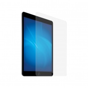 Закаленное стекло DF для APPLE iPad 10.2 (2019) iSteel-24