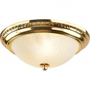 Настенно-потолочный светильник Arte lamp A3013PL-2GO