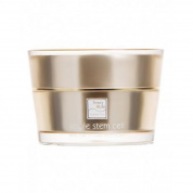 Крем для лица Beauty Style Apple Stem Cell, 30 мл, лифтинг-эффект