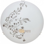 Настенный светильник Arte Lamp Symphony A3820PL-1CC