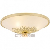 Потолочный светильник Arte Lamp Collinetta A9116PL-3GO