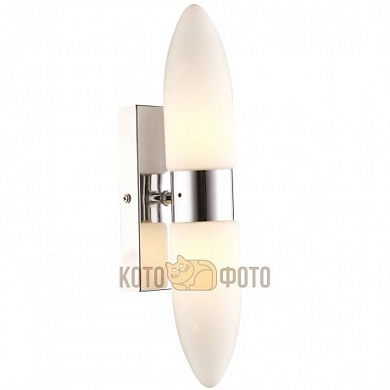 Настенный светильник Arte Lamp Aqua A9502AP-2CC
