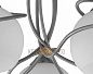 Потолочный светильник Citilux Лайма CL155151